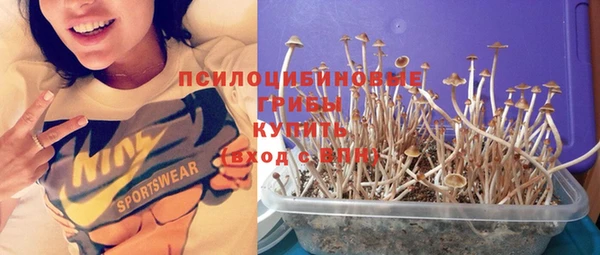 стафф Абдулино