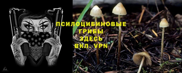 кокаин колумбия Алексин