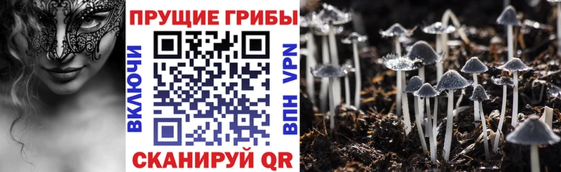Псилоцибиновые грибы прущие грибы  дарнет шоп  Емва 